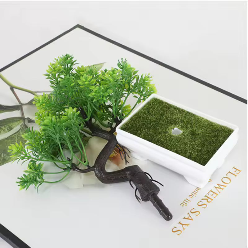 Bonsai Decorativo