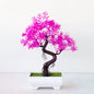 Bonsai Decorativo