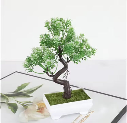 Bonsai Decorativo