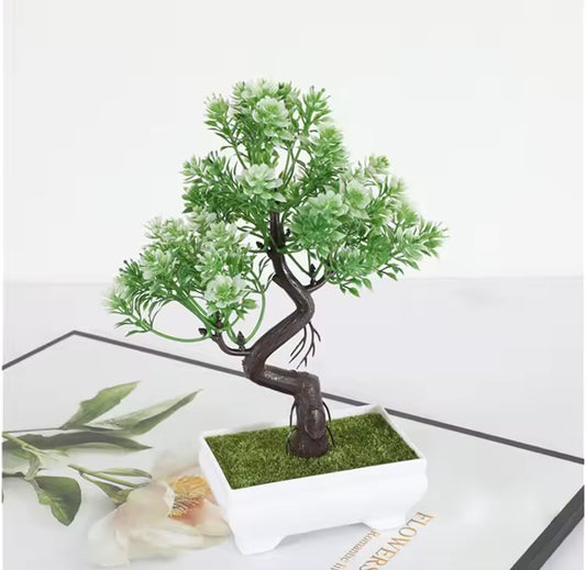 Bonsai Decorativo