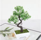 Bonsai Decorativo